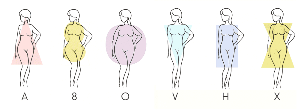 Les différentes morphologies